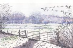 Bury St Edmunds Water Meadow