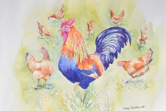 Chickens