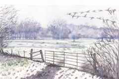 Water Meadows