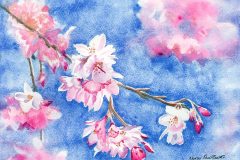 Blossom